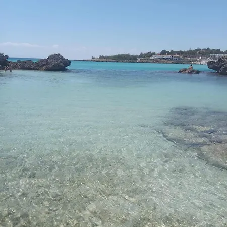 Divina Perla Pulsano