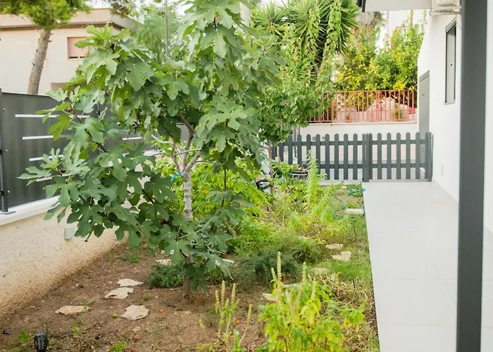 Divina Perla Pulsano